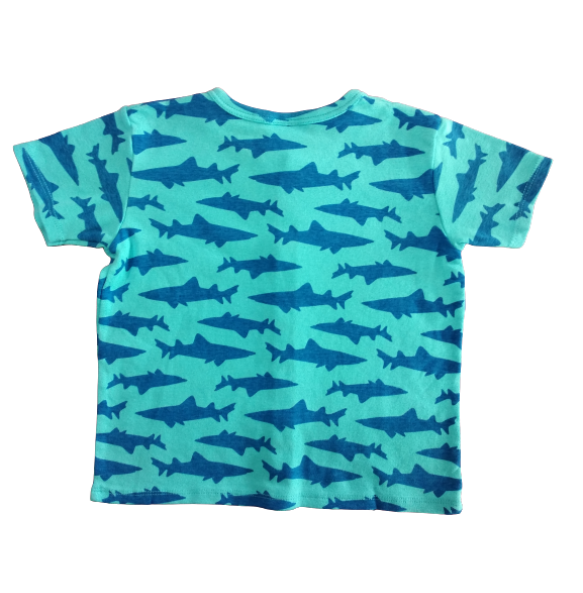 My Curious Baby Shark Short Sleeve Shirt and Pants