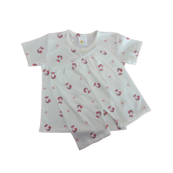 My Curious Baby Fox Short Sleeve Shirt and Pants