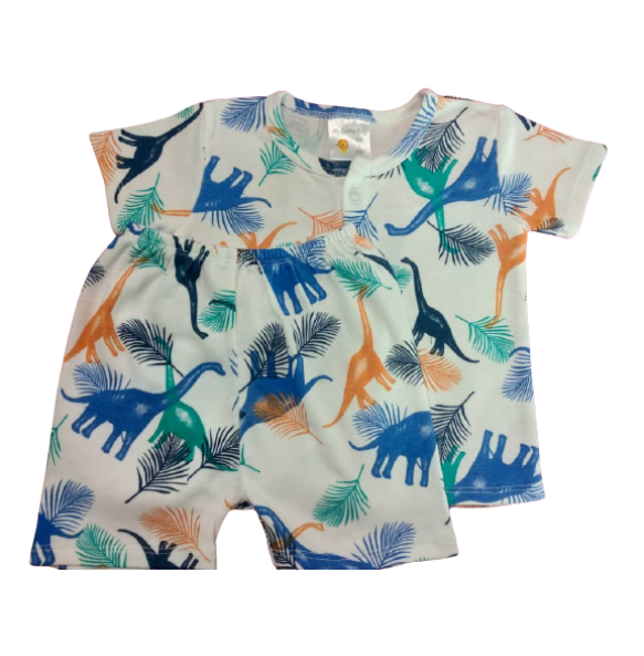 My Curious Baby Dinosaur Short Sleeve Shirt and Pants