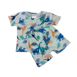 My Curious Baby Dinosaur Short Sleeve Shirt and Pants