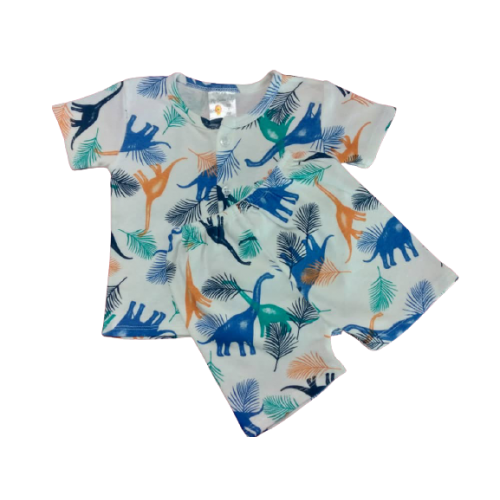 My Curious Baby Dinosaur Short Sleeve Shirt and Pants